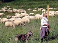 Liptov, Hory, ubytovanie v Tarch na slovensku